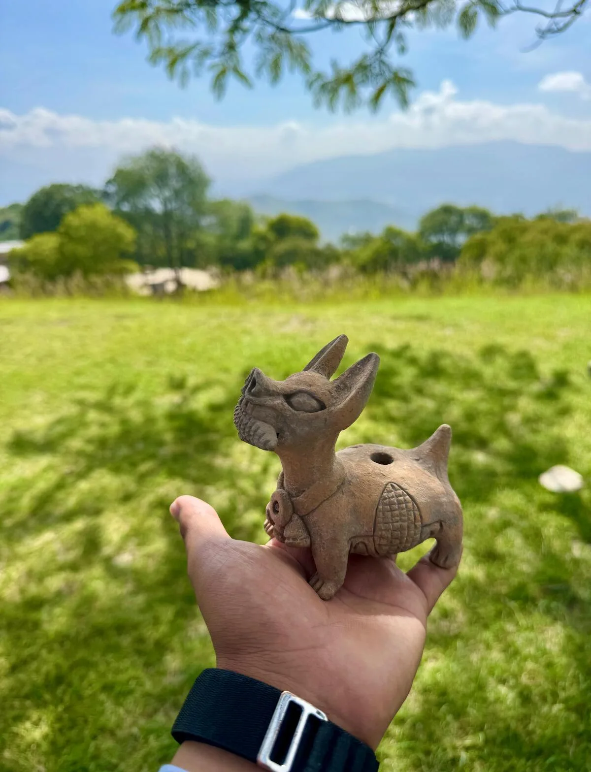 Tour privado en Oaxaca - Figura de barro hecha a mano