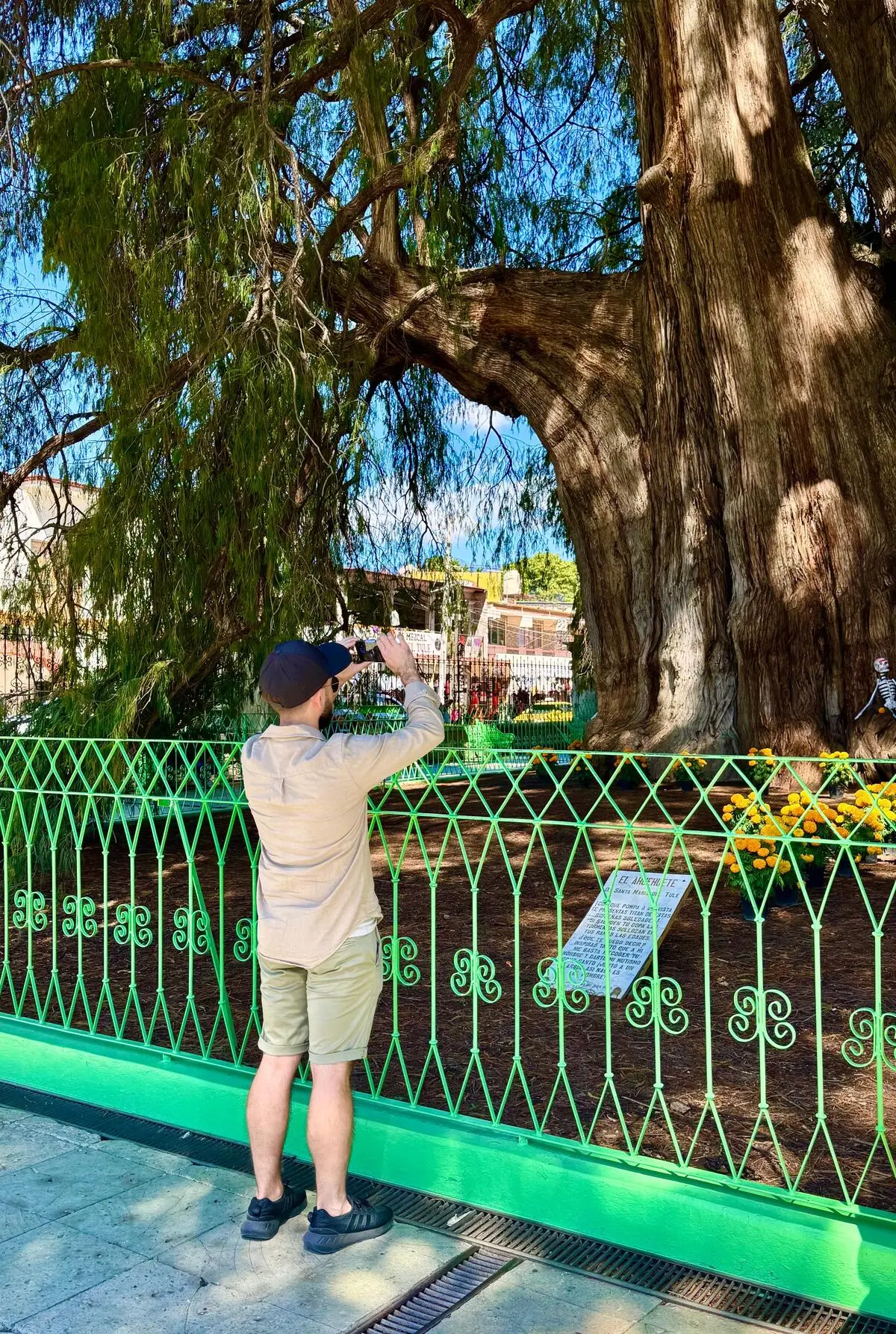 Tour privado en Oaxaca - Viajero fotografiando el Árbol del Tule