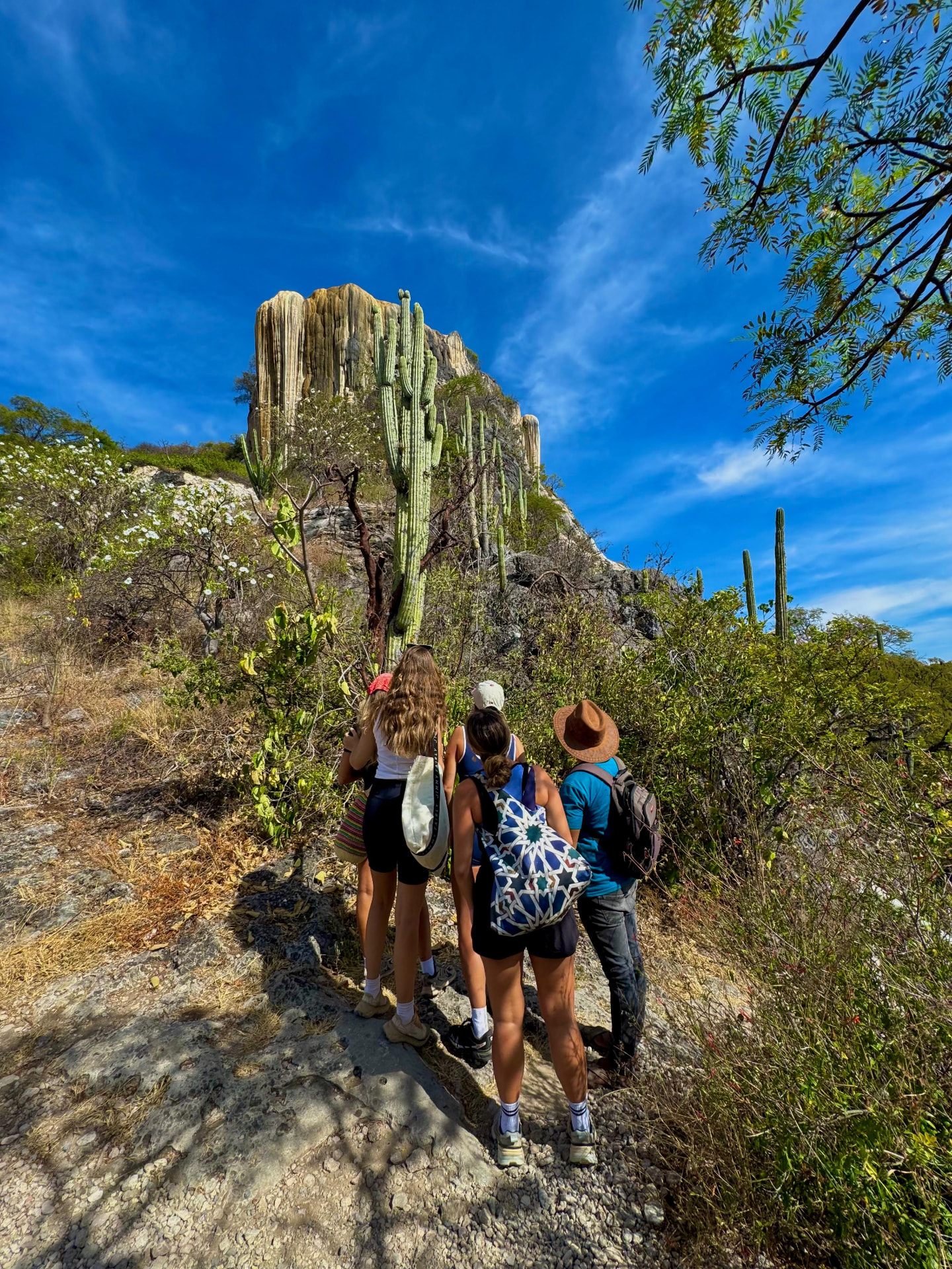 Tour privado en Oaxaca - Viajeros recorriendo los senderos de Hierve el Agua